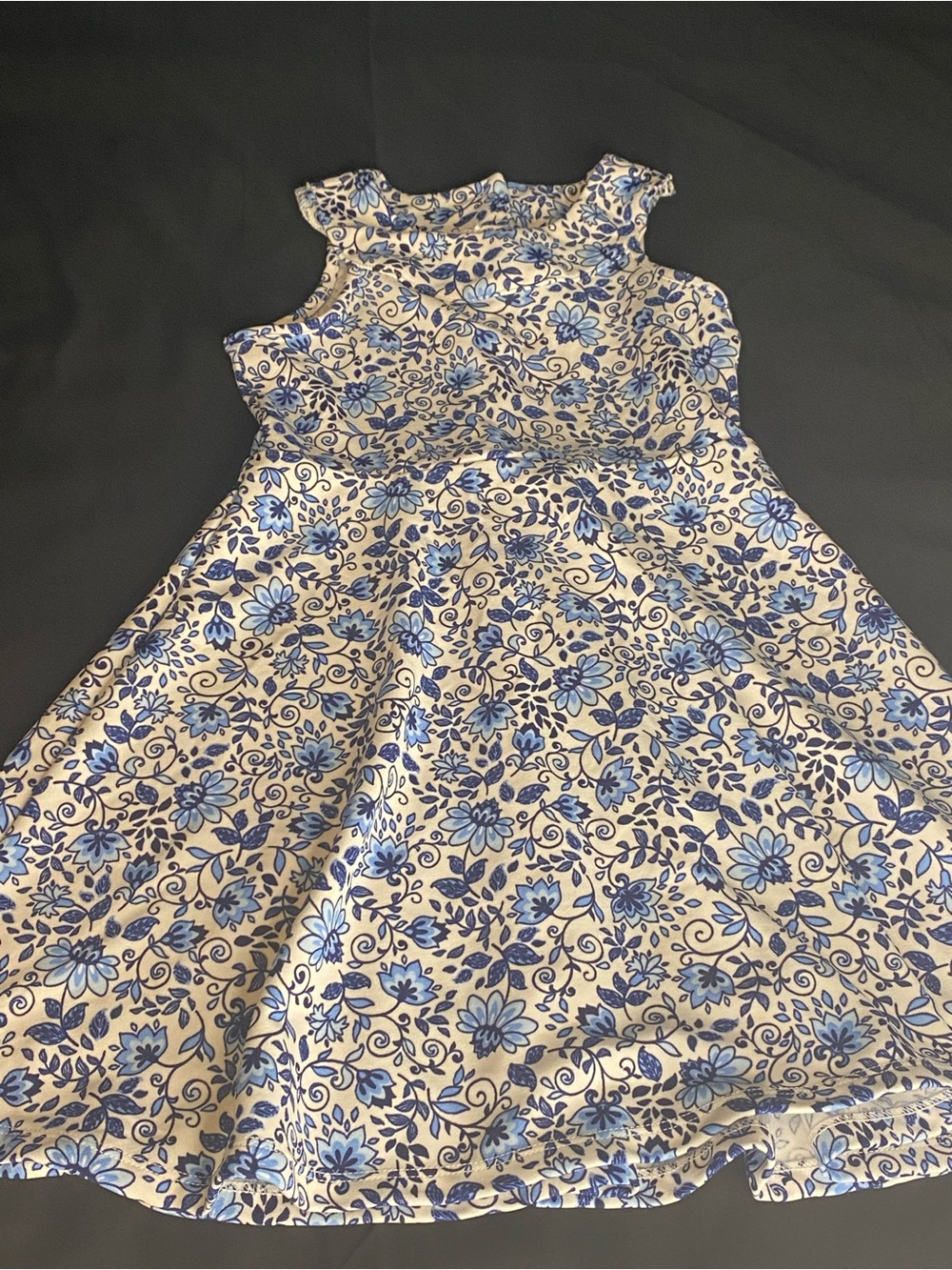 Nannette White and Blue Floral Fit & Flare Dress